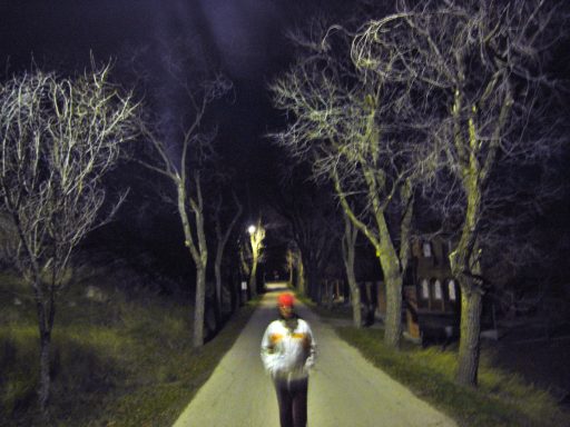 El paseo